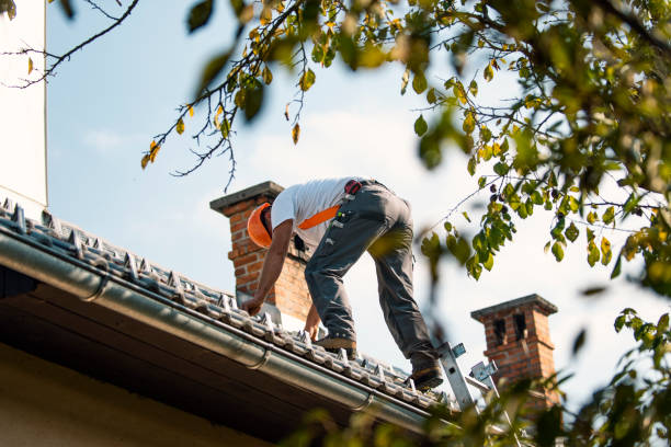 Quick and Trustworthy Emergency Roof Repair Services in Beulah, ND