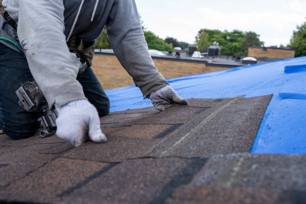Best New Roof Installation  in Beulah, ND